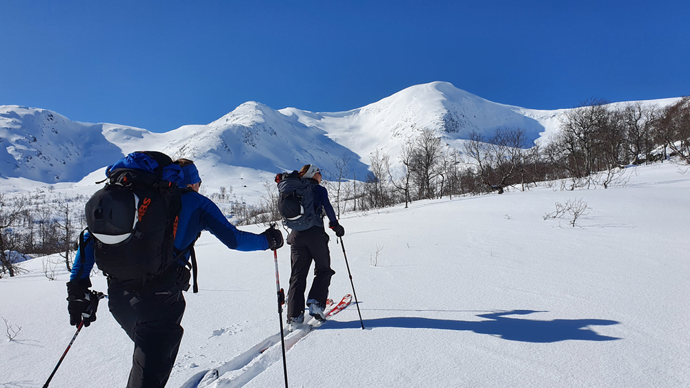 Guided ski touring