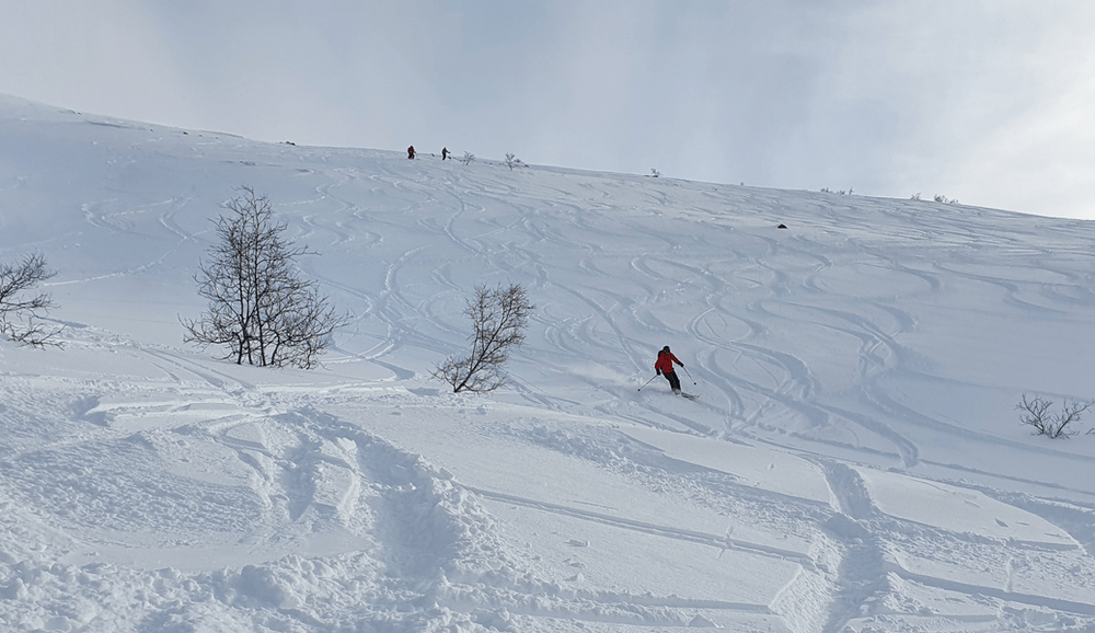 Tungefjellet Nord