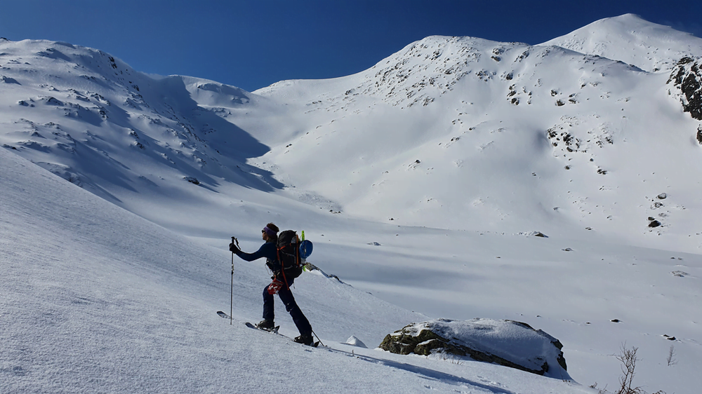 Horndalsnuten i bakgrunnen.