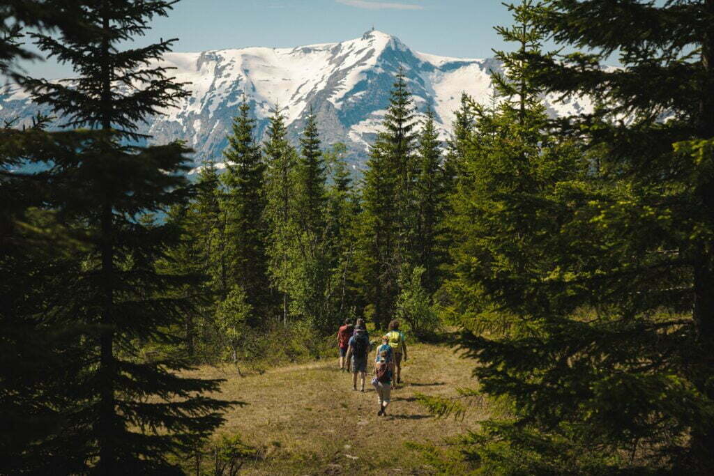 wilderness travel norway