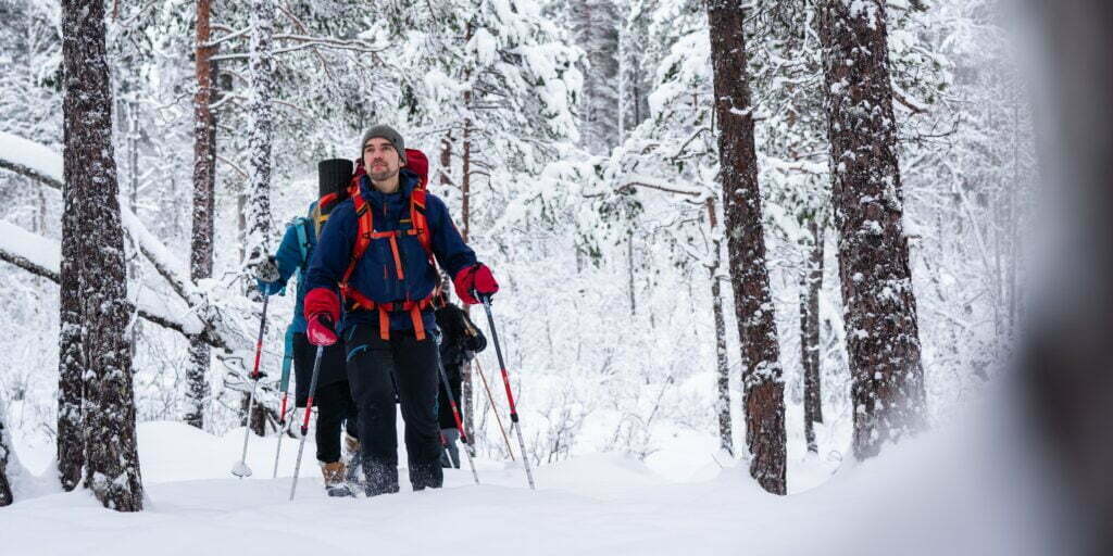 Guided snowshoeing