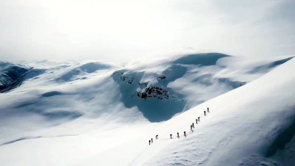 Avalanche Courses