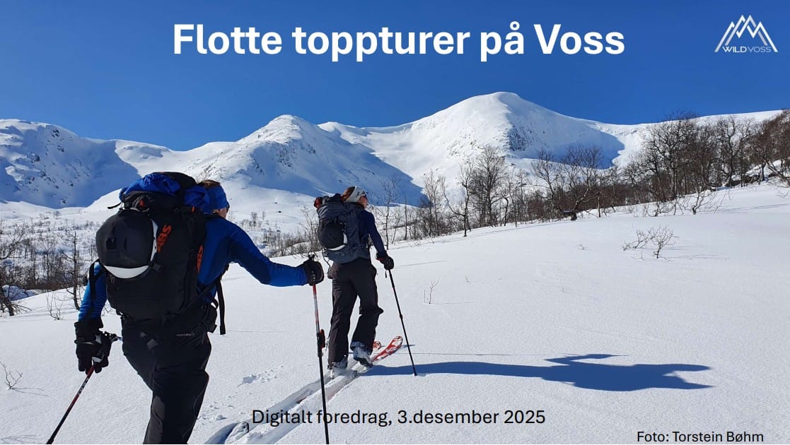 toppturer-webinar