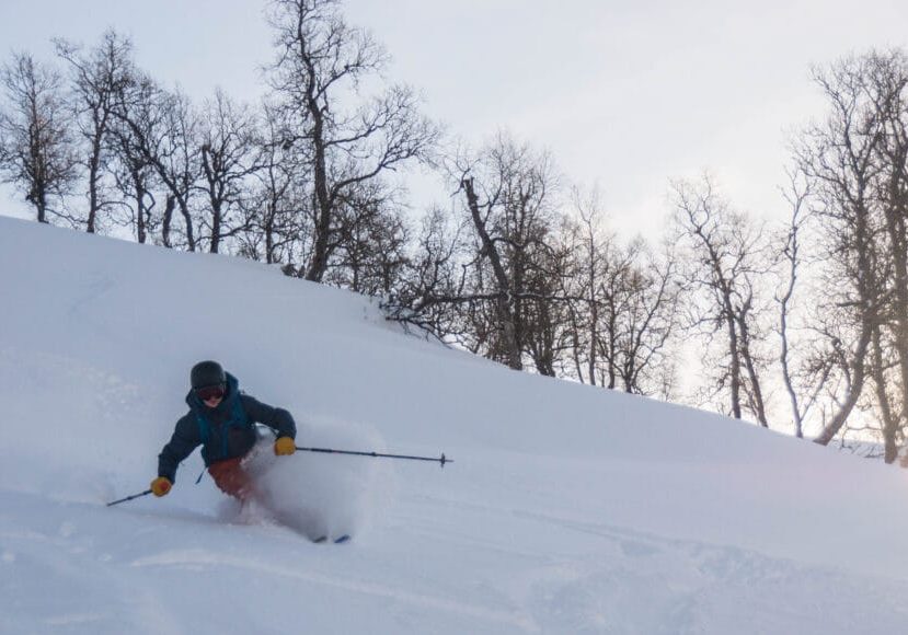 Skikjøring i herlig pudder på Voss.