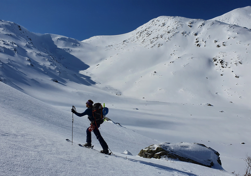 Horndalsnuten i bakgrunnen.